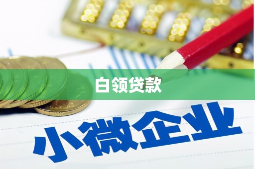 阳新白领贷款