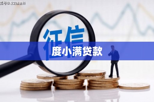 阳新度小满贷款