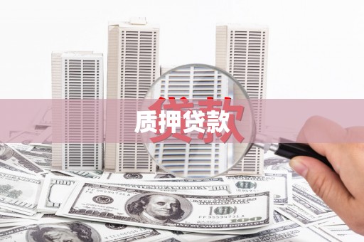 阳新质押贷款