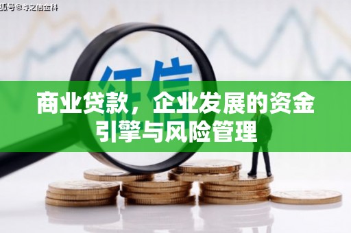 阳新商业贷款，企业发展的资金引擎与风险管理