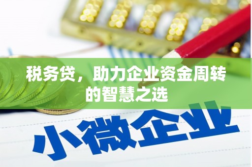 阳新税务贷，助力企业资金周转的智慧之选