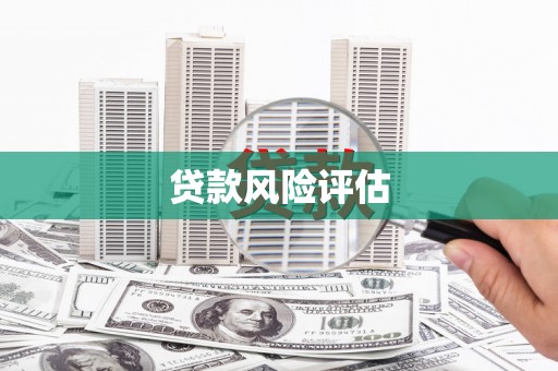 阳新贷款风险评估