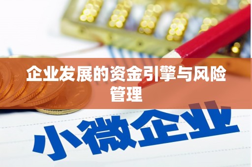 阳新企业发展的资金引擎与风险管理