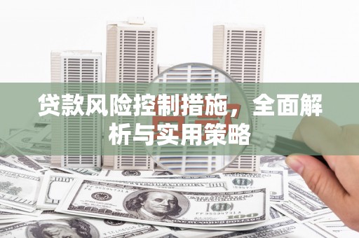 阳新贷款风险控制措施，全面解析与实用策略