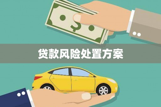 阳新贷款风险处置方案