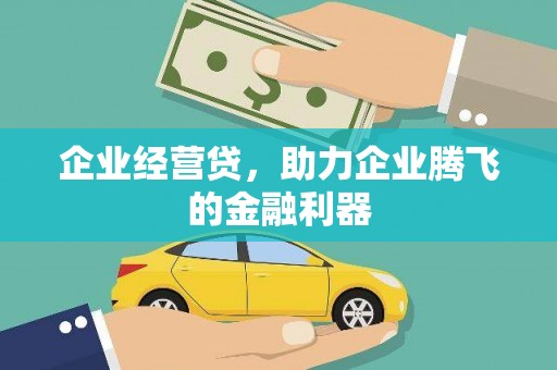 阳新企业经营贷，助力企业腾飞的金融利器