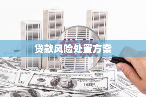 阳新贷款风险处置方案