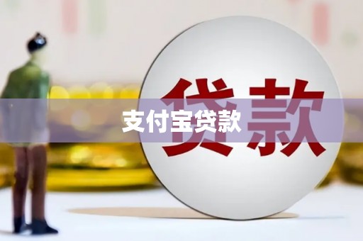 阳新支付宝贷款