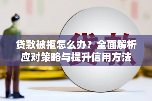 阳新贷款被拒怎么办？全面解析应对策略与提升信用方法