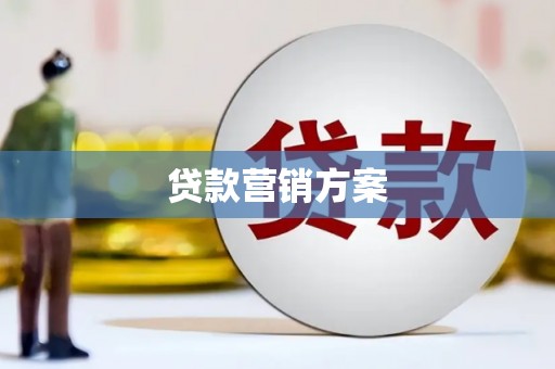 阳新贷款营销方案