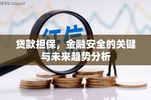 阳新贷款担保，金融安全的关键与未来趋势分析