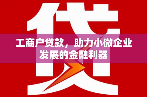 阳新工商户贷款，助力小微企业发展的金融利器