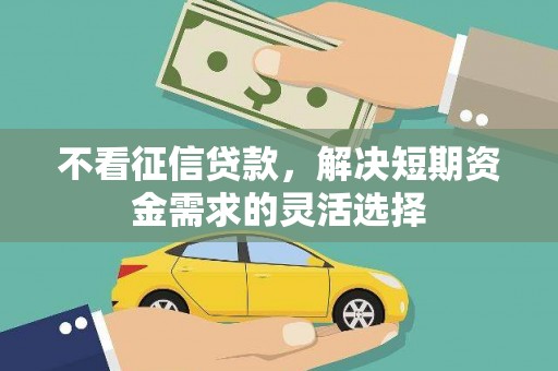 阳新不看征信贷款，解决短期资金需求的灵活选择