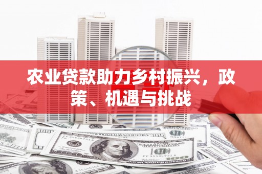 阳新农业贷款助力乡村振兴，政策、机遇与挑战