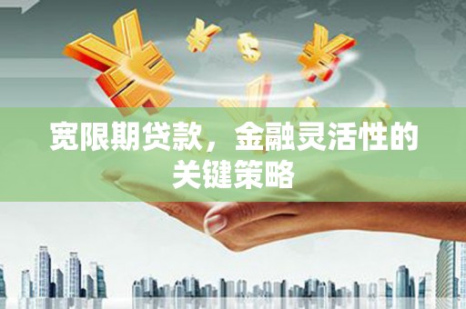 阳新宽限期贷款，金融灵活性的关键策略