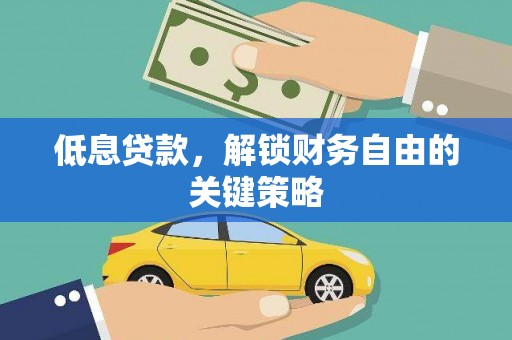 阳新低息贷款，解锁财务自由的关键策略