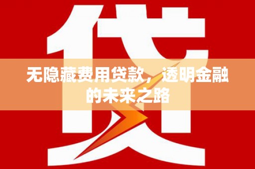 阳新无隐藏费用贷款，透明金融的未来之路