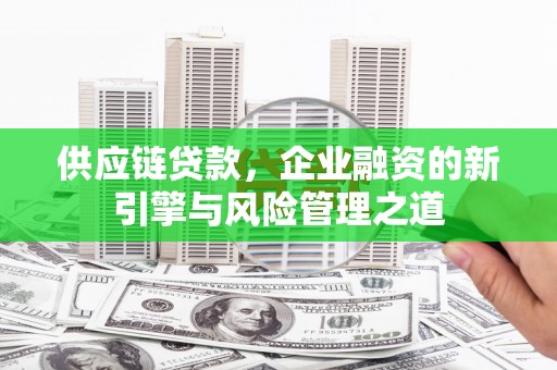 阳新供应链贷款，企业融资的新引擎与风险管理之道