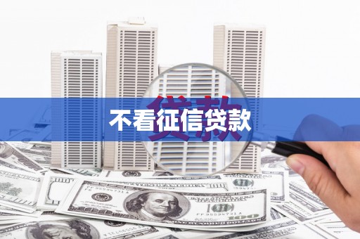 阳新不看征信贷款
