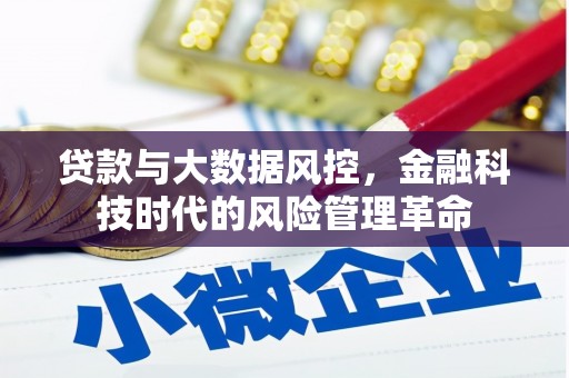 阳新贷款与大数据风控，金融科技时代的风险管理革命