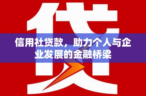 阳新信用社贷款，助力个人与企业发展的金融桥梁