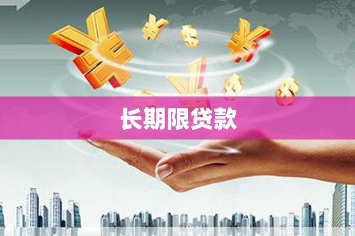阳新长期限贷款