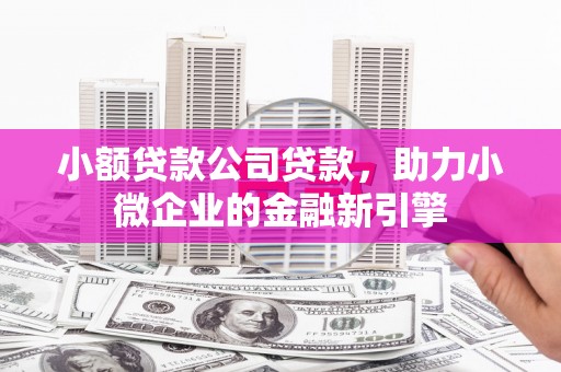 阳新小额贷款公司贷款，助力小微企业的金融新引擎