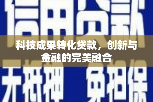 阳新科技成果转化贷款，创新与金融的完美融合