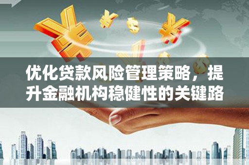 阳新优化贷款风险管理策略，提升金融机构稳健性的关键路径