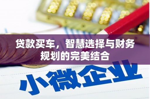 阳新贷款买车，智慧选择与财务规划的完美结合