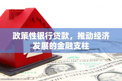 阳新政策性银行贷款，推动经济发展的金融支柱