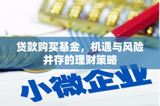 阳新贷款购买基金，机遇与风险并存的理财策略