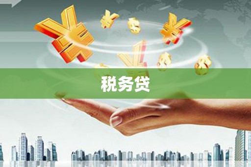 阳新税务贷