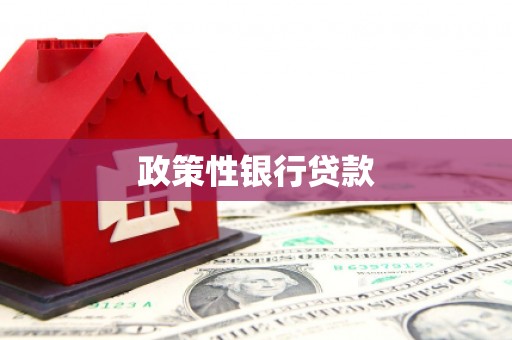 阳新政策性银行贷款