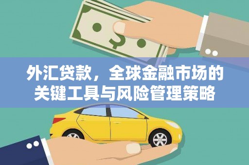 阳新外汇贷款，全球金融市场的关键工具与风险管理策略