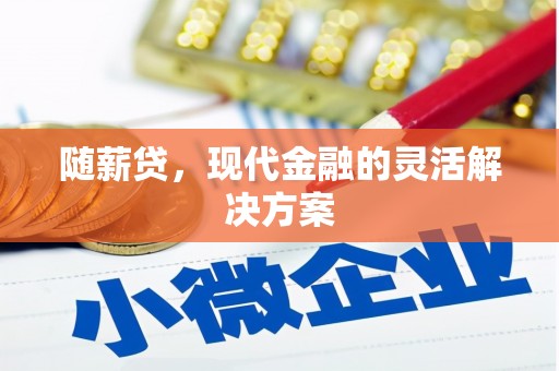 阳新随薪贷，现代金融的灵活解决方案