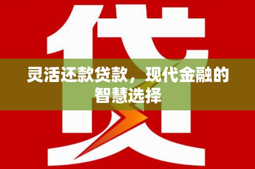 阳新灵活还款贷款，现代金融的智慧选择