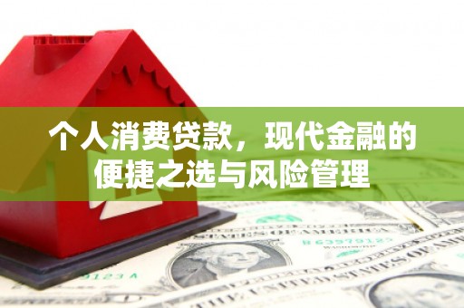 阳新个人消费贷款，现代金融的便捷之选与风险管理