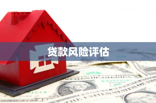 阳新贷款风险评估