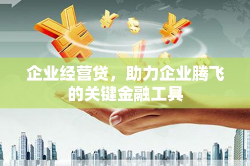阳新企业经营贷，助力企业腾飞的关键金融工具