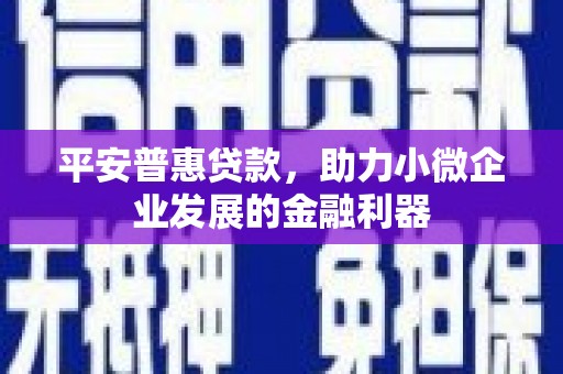 阳新平安普惠贷款，助力小微企业发展的金融利器