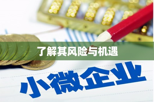 阳新了解其风险与机遇