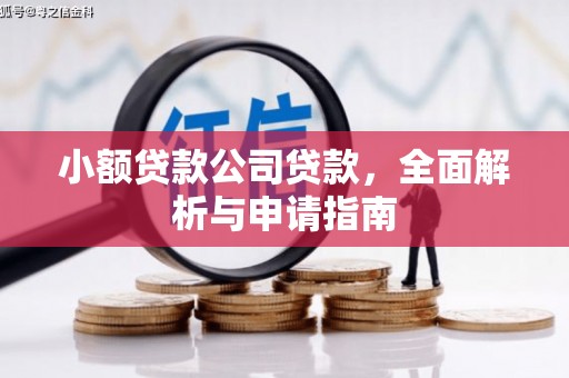 阳新小额贷款公司贷款，全面解析与申请指南