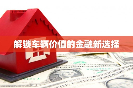 阳新解锁车辆价值的金融新选择