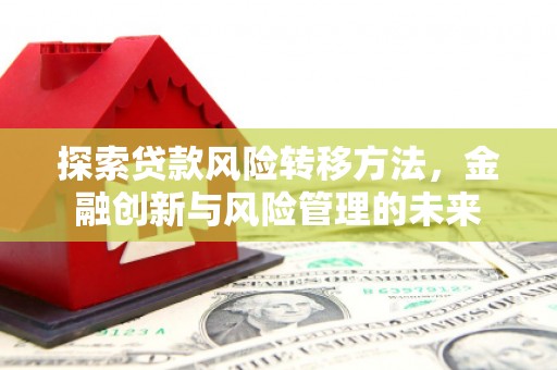 阳新探索贷款风险转移方法，金融创新与风险管理的未来