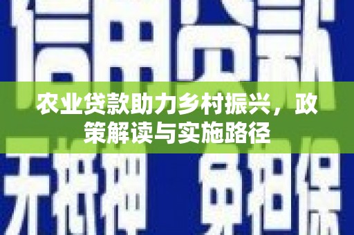 阳新农业贷款助力乡村振兴，政策解读与实施路径