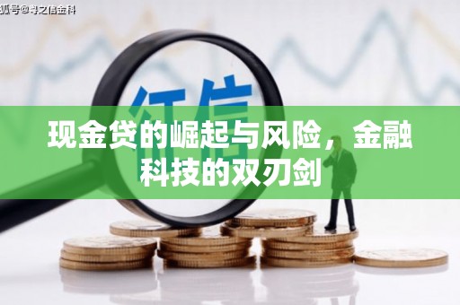 阳新现金贷的崛起与风险，金融科技的双刃剑