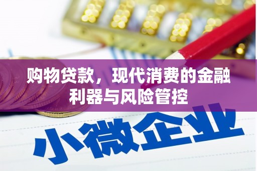 阳新购物贷款，现代消费的金融利器与风险管控