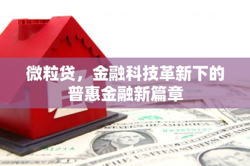 阳新微粒贷，金融科技革新下的普惠金融新篇章