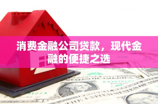 阳新消费金融公司贷款，现代金融的便捷之选